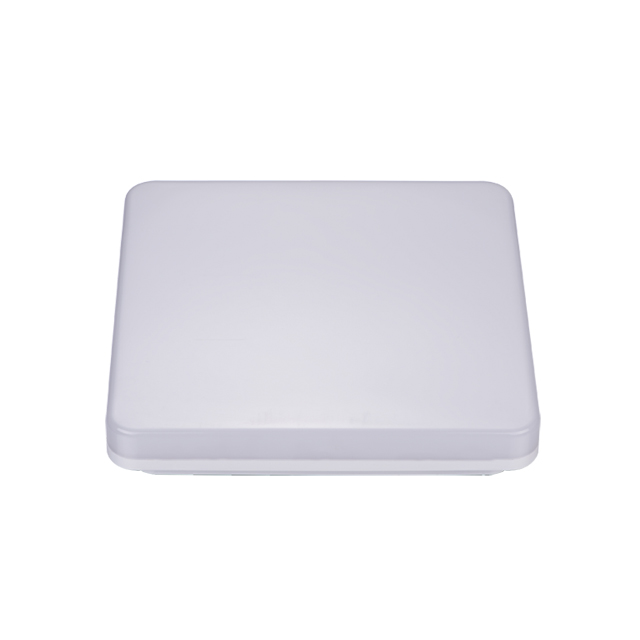 LED Ceiling IP65